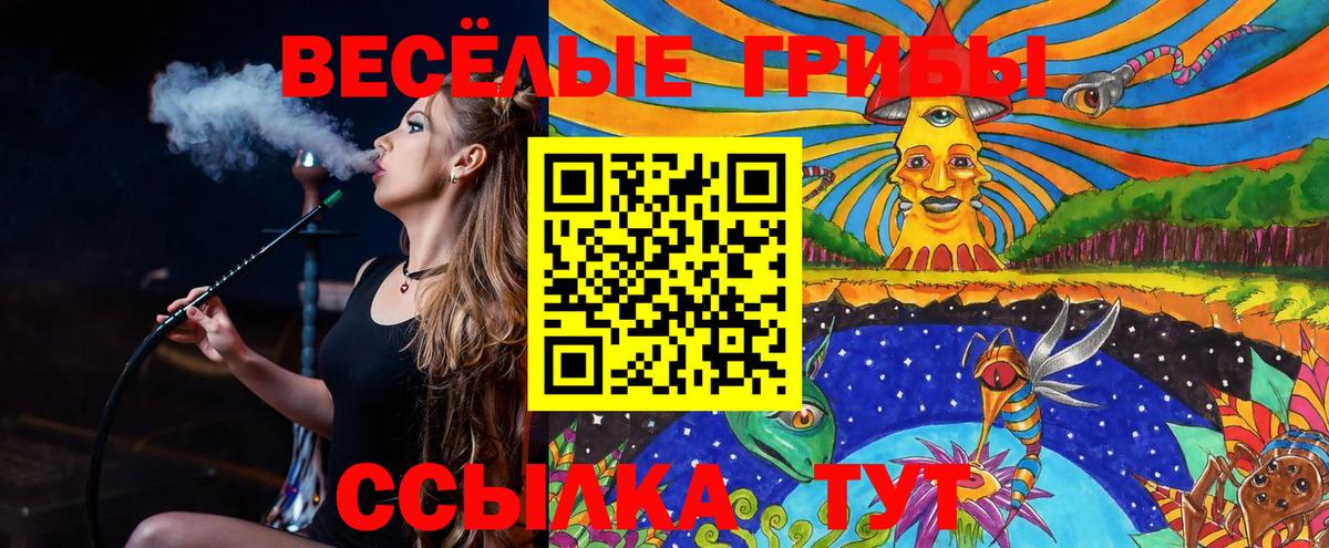 Куйбышев  Псилоцибиновые грибы мицелий  Псилоцибиновые грибы Magic Shrooms  Вход с VPN 